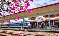Từ 19/9 đến 31/12, người dân 2 tỉnh thành này đón tin vui