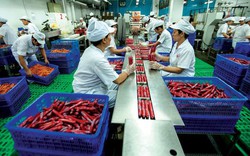 Một doanh nghiệp sắp chi hơn 1.500 tỷ đồng để di dời nhà máy khỏi TP.HCM
