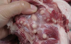 3 phần thịt lợn KHÔNG NÊN mua