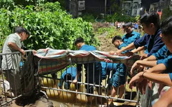 Hà Nội: Xác định đơn vị quản lý tuyến cống khiến nam sinh bị cuốn tử vong