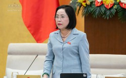 Đề xuất cấm toàn diện thuốc lá điện tử, thuốc lá nung nóng từ năm 2027