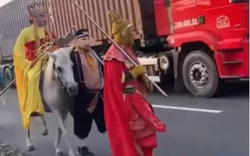 Sự thật phía sau nhóm người hóa trang Tây Du Ký cưỡi ngựa giữa đường ở TPHCM