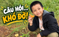Con chê bạn "toàn dùng balo cũ xấu xí", bà mẹ TP.HCM có cách ứng xử quá khôn ngoan!