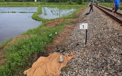 Băng qua lối đi tự mở, người đàn ông ở Đà Nẵng bị tàu hỏa tông tử vong