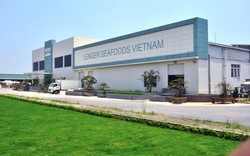 Tập đoàn Hà Lan bán nhà máy chế biến nghêu doanh thu hơn 500 tỷ/năm, công suất 300 tấn/ngày tại Ninh Bình