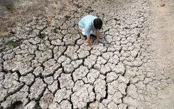 Siêu El Nino quay lại sau 11 năm: Việt Nam nguy cơ hạn khắc nghiệt