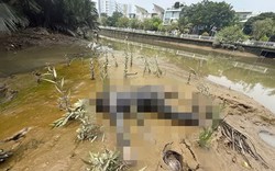 Công an tìm tung tích, người thân của nam thanh niên tử vong dưới rạch Đầu Ngựa ở TP.HCM