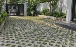 Vì sao ngày càng nhiều gia đình không còn đổ bê tông kín sân? 2 cách làm sân mát, đẹp, bớt bí đang dần thành xu hướng mới