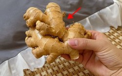 Vì sao ngày càng nhiều người thích đặt một củ gừng dưới gối khi ngủ?