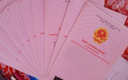 Bất động sản được chuyển nhượng với giá 30 triệu đồng, vài năm sau được định giá hơn 1,3 tỷ để thế chấp vay ngân hàng