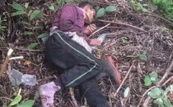 2 vợ chồng vào rừng hái nấm, 1 lúc sau vợ nghe thấy chồng hét lớn, chạy đến thì chứng kiến cảnh đáng sợ