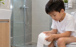 Giải pháp "thoát mùi" sau khi đi vệ sinh