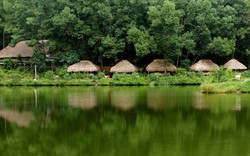 Việt Nam có 1 ngôi làng gần 200 người "ăn chung nồi cơm, tiêu chung túi tiền": Xanh mát như ốc đảo, được công nhận "Làng du lịch tốt nhất thế giới"