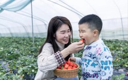 "Con trai giống mẹ" hóa ra có cơ sở: 4 đặc điểm ở bé trai dễ thừa hưởng từ mẹ, xem con nhà bạn có không?