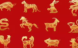 Lời khuyên cho 12 con giáp trong tuần mới từ 28/9 - 4/10