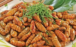 Ăn 20 con nhộng tằm, người đàn ông 41 tuổi suy đa tạng, suýt mất mạng