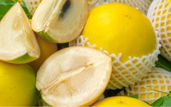 1 loại quả ngọt tốt ngang nhân sâm, chỉ duy nhất Việt Nam xuất khẩu trên thế giới: Hạ đường huyết, bổ máu, tốt cho xương khớp