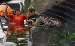 Những hình ảnh khó tin khi Bangkok ngập ngày thứ 3: 80.000 người mắc kẹt, ô tô chỉ còn thấy nóc