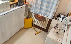 Phát hiện phòng trọ 6m² có 1 phòng ngủ 1 phòng khách
