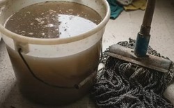 Giải pháp thoát mùi tanh sau khi lau nhà hiệu quả