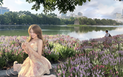 “Quyết không để các nàng thơ nhàm chán”: Hồ Gươm lại thay thảm hoa mới, Hà Nội dạo này thơ thế nhỉ!