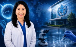 Bác sĩ Việt là đại diện duy nhất của châu Á biên soạn hướng dẫn của WHO: Có nghiên cứu vang danh thế giới