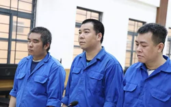 Nhóm đối tượng cướp gần 55 tấn cá tra lãnh 34 năm tù