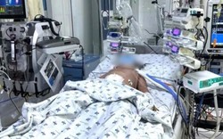 Căn bệnh khiến bé gái 10 tuổi tổn thương gan thận sau 5 ngày sốt
