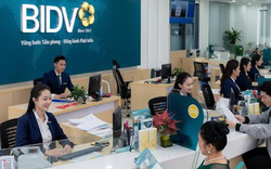 Gửi 100 triệu đồng ở Vietcombank, BIDV, VietinBank, Agribank, mỗi tháng nhận về bao nhiêu tiền lãi?