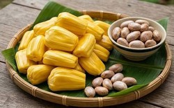 Bất ngờ với công dụng của hạt mít: Giàu chất dinh dưỡng, giúp giảm độ ẩm và cải thiện khẩu vị, nhiều người lại thường đem vứt