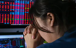 Phiên đầu tuần, VN-Index 'bay' hơn 31 điểm