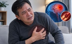 Nghiên cứu theo dõi 20 năm chỉ ra 3 ĐIỂM CHUNG ở những người có nguy cơ mắc bệnh tim mạch và đột quỵ