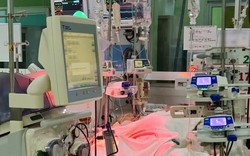 Hai người trẻ nguy kịch vì sốt xuất huyết, chi phí điều trị tiền tỷ