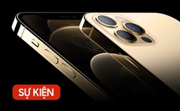 Apple ra mắt iPhone 12: Thiết kế đẹp, chụp ảnh đỉnh, nhiều màu sắc để chọn, giá nào cũng có!