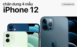 Tất tần tật về 4 mẫu iPhone 12 vừa ra mắt - Điều tuyệt nhất là giá mềm hơn hẳn so với năm ngoái
