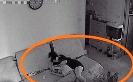 Bố mẹ hí hửng vì con trai rủ bạn đến nhà làm bài tập, nhưng cảnh tượng khi kiểm tra camera khiến cả hai chết lặng