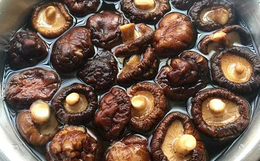 WHO công bố 4 loại thực phẩm đứng đầu "danh sách đen" gây ung thư gan, muốn sống lâu hãy tránh xa