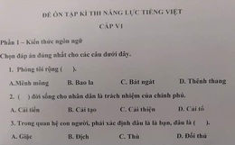 Đề thi năng lực tiếng Việt của Nhật Bản đọc xong lú luôn, có người còn nghi ngờ khả năng nói tiếng mẹ đẻ của mình vì quá khó