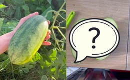 Lén trồng trái dưa hấu bên vệ đường, tới ngày thu hoạch, thanh niên hí hửng mang vào nhà xẻ ra ăn và "té ngửa" vì thứ bên trong