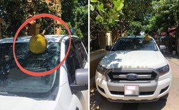 Quả mít đắt nhất Việt Nam hôm qua: Rụng 1 phát bay ngay chục triệu, khổ chủ khóc ròng còn dân mạng lại nghi ngờ 1 điều