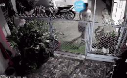 Cả con hẻm bỏ chạy tán loạn, về nhà đóng sập cửa và bóng dáng "trùm cuối" khiến nhiều người vỡ lẽ