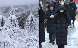 Hàn Quốc chìm trong giá lạnh -21 độ C, sông Hàn đóng băng tạo nên cảnh tượng hiếm có