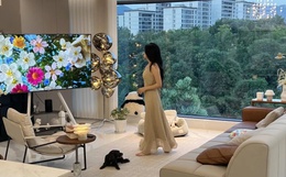 Mua trên Shopee 5 món đồ gia dụng này, tôi thấy cuộc sống “dễ thở” hơn hẳn