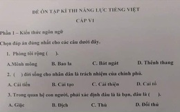 Đề thi năng lực tiếng Việt của Nhật Bản đọc xong lú luôn, có người còn nghi ngờ khả năng nói tiếng mẹ đẻ của mình vì quá khó