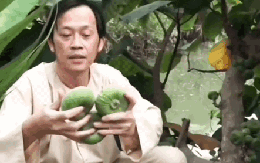 Nghệ sĩ Hoài Linh khoe vườn nhà mình có 1 loại cây quý mọc trái đột biến, dân mạng khẳng định: Cây này tiền tỷ cũng không bán!