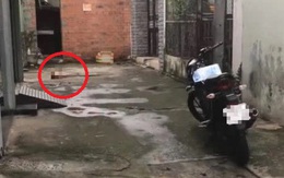 Nóng: Nghi án kẻ ngáo đá chém người đàn ông lìa đầu ở quận 7