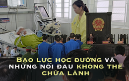 Điều còn lại sau những vụ bạo lực học đường rúng động: Sinh mệnh bị huỷ hoại ở tuổi đẹp nhất và vết sẹo tinh thần chẳng thể chữa lành