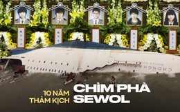 Tròn 10 năm thảm kịch chìm phà Sewol khiến 304 người chết: Xót xa trước tình cảnh của người sống sót