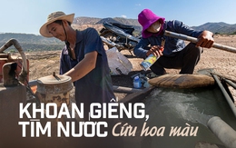 Xót xa cảnh bà con nông dân Ninh Thuận nỗ lực khoan giếng, tìm nước cứu hoa màu khi hồ thủy lợi khô đáy