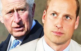 Thân vương William lo ngại Vua Charles làm việc quá sức, không có ý định gặp em trai Harry